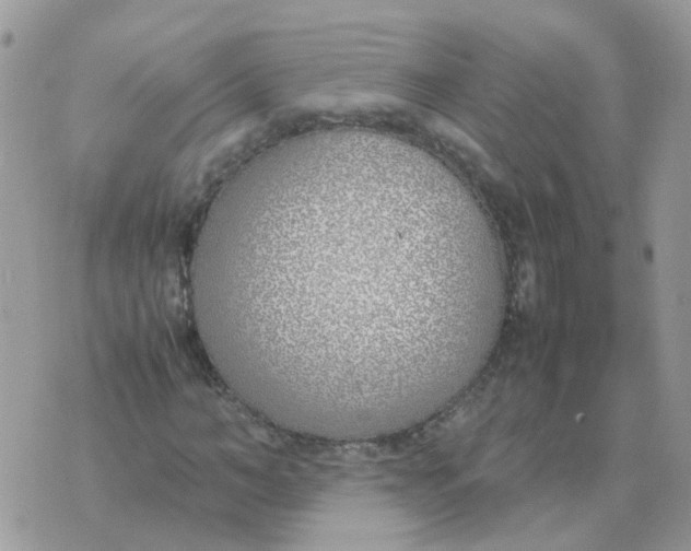 X0000070430966200606302122