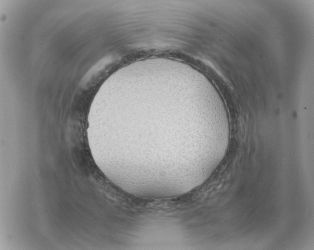 X0000070430967200606302122