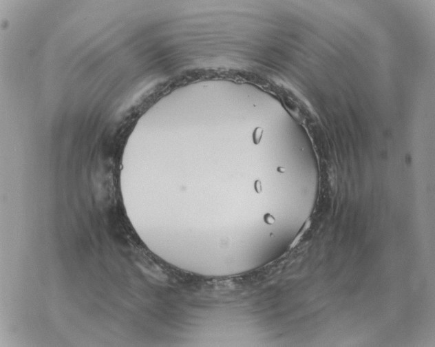 X0000070430968200606302122