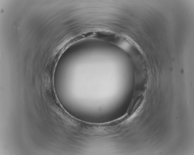 X0000070430969200606302122