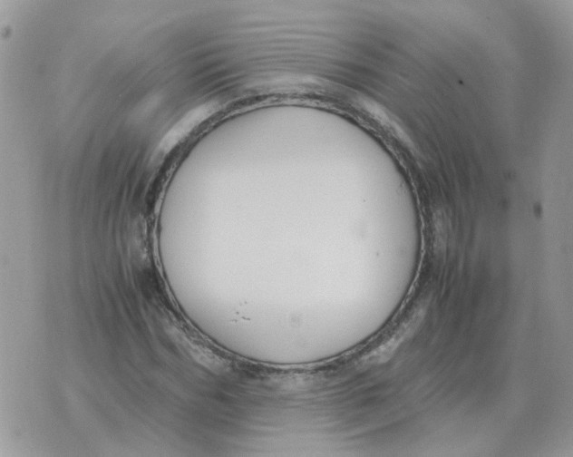 X0000070430970200606302122