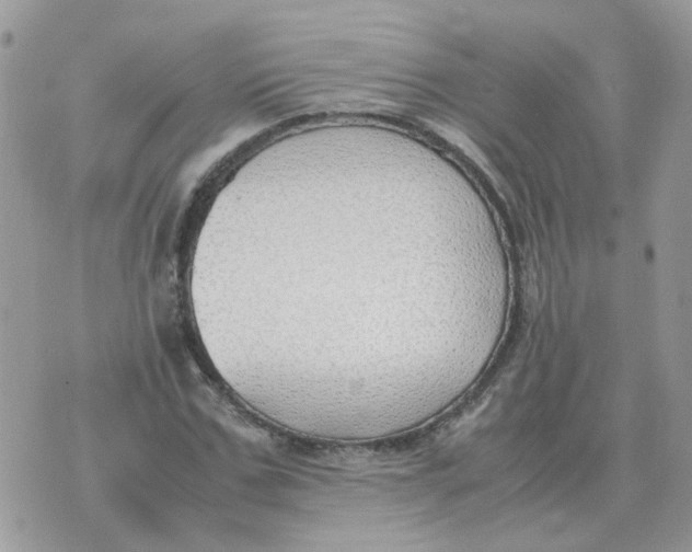 X0000070430971200606302122