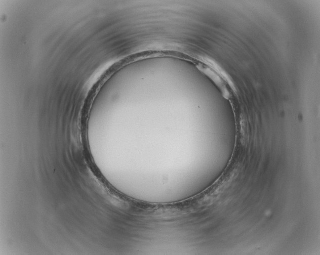 X0000070430972200606302122