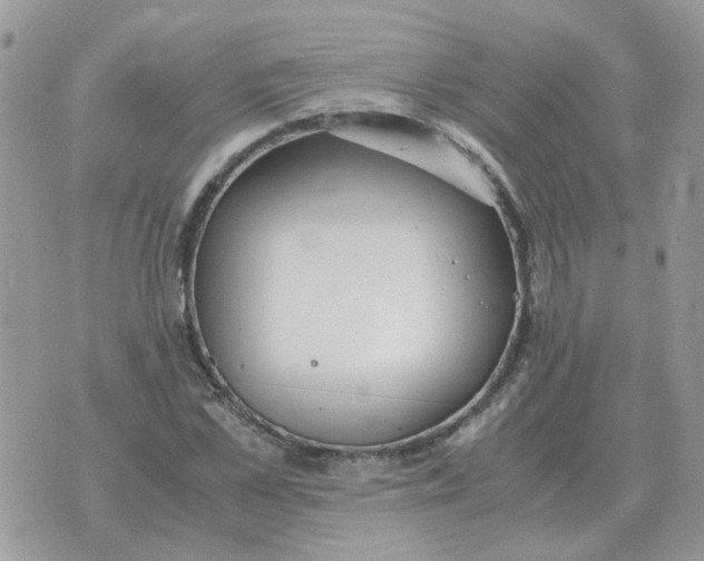 X0000070430973200606302122