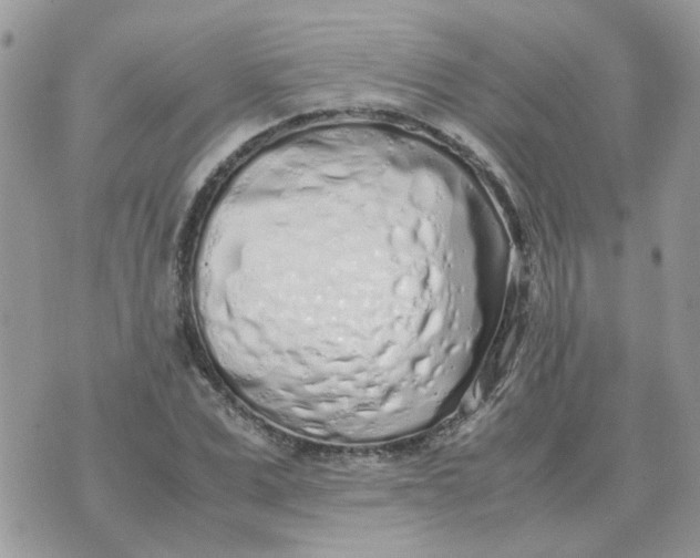 X0000070430975200606302122