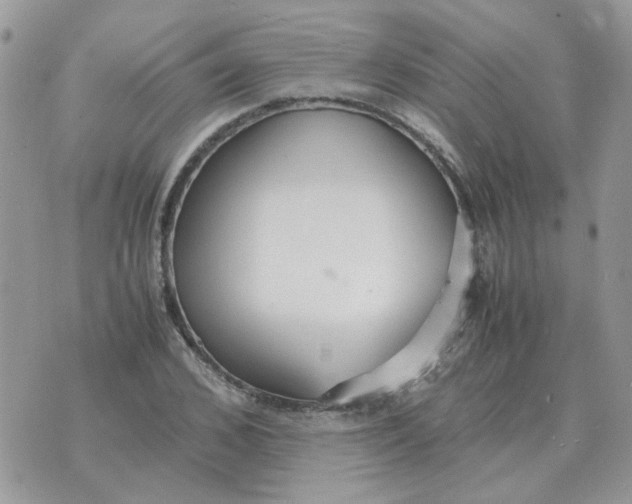 X0000070430976200606302122