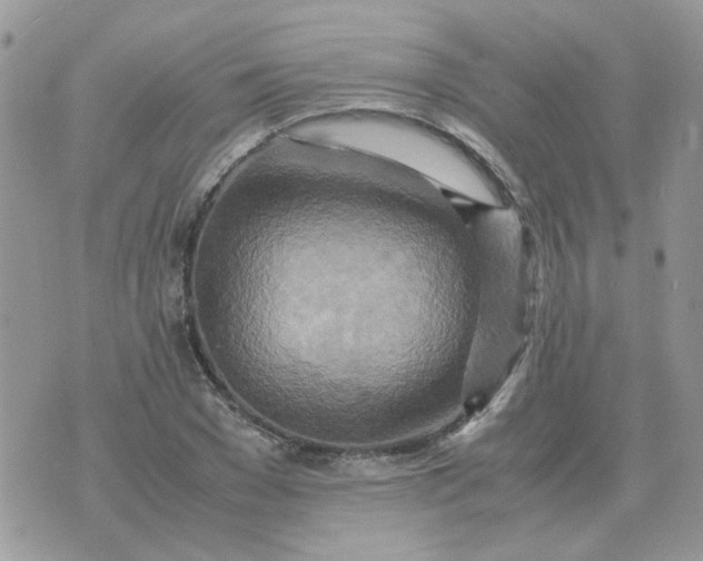 X0000070430977200606302122