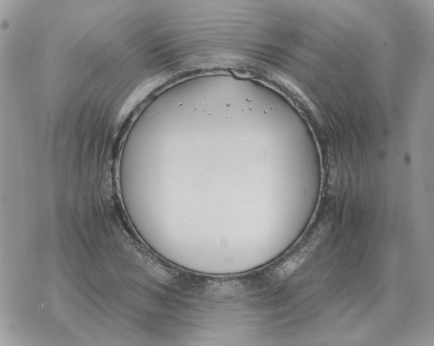 X0000070430978200606302122