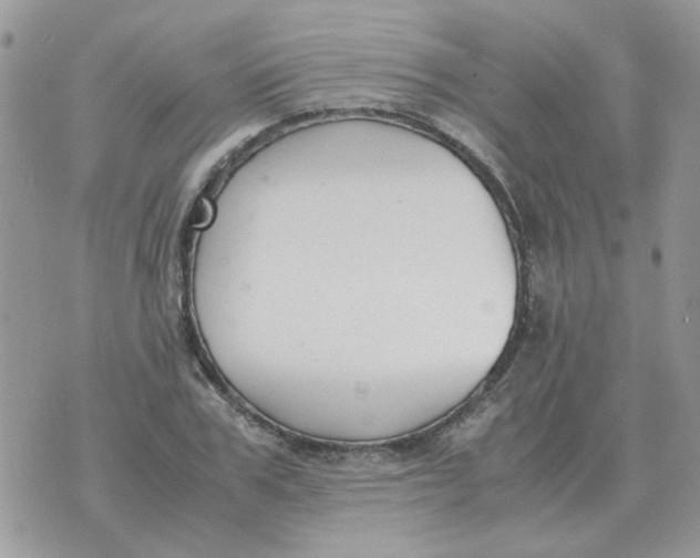 X0000070430979200606302122