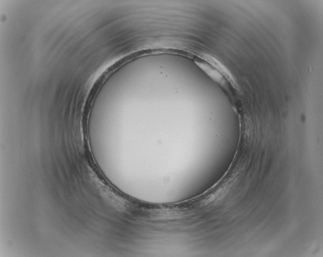 X0000070430980200606302122