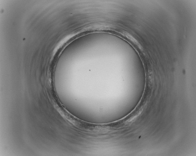 X0000070430981200606302122