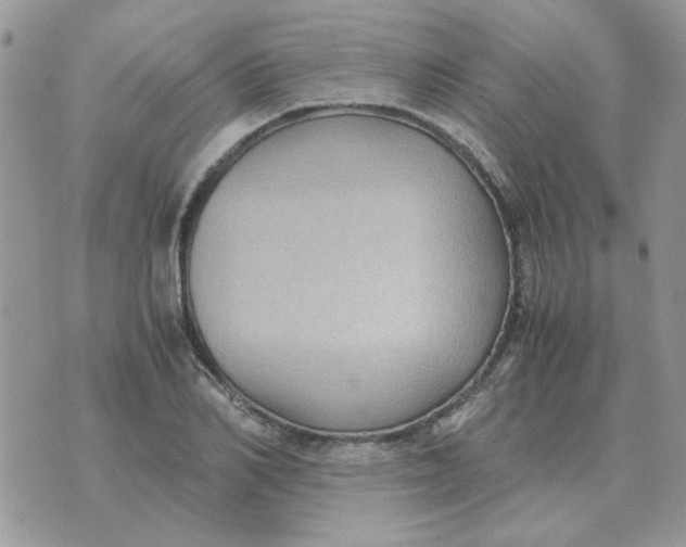 X0000070430982200606302122