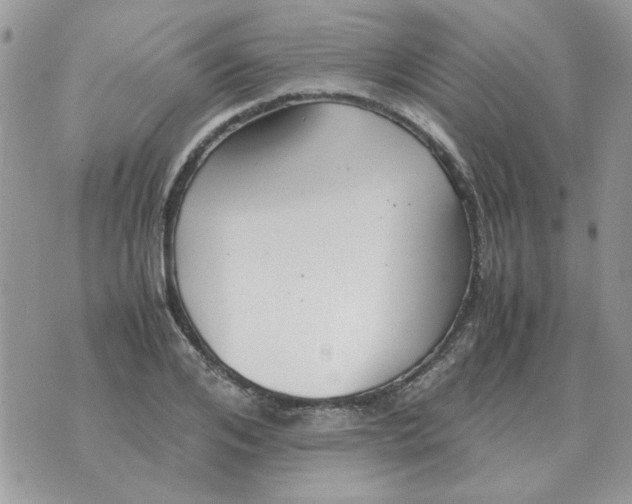 X0000070430984200606302122