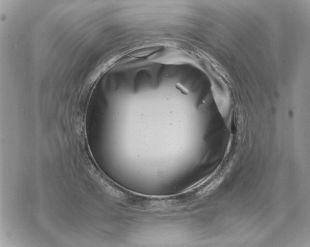 X0000070430985200606302122