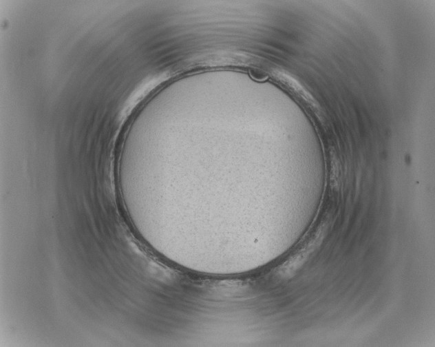 X0000070430986200606302122