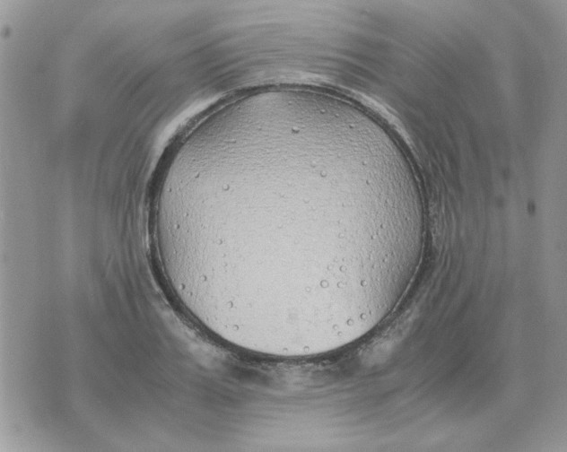 X0000070430987200606302122