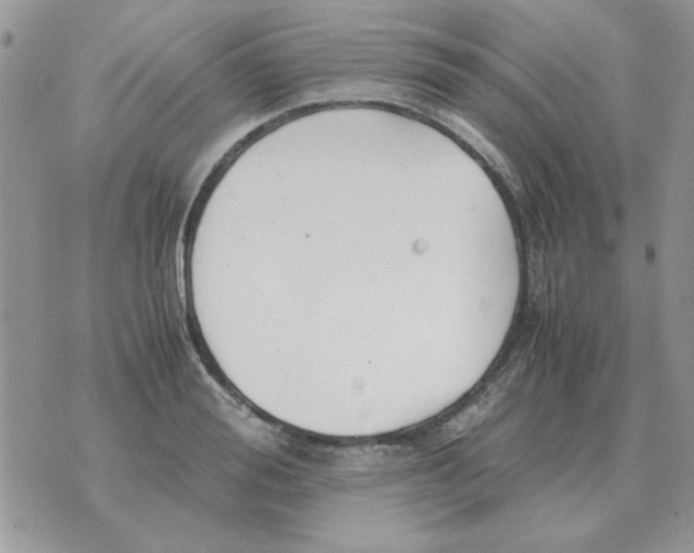 X0000070430988200606302122