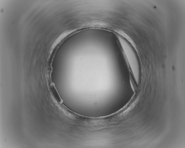 X0000070430989200606302122