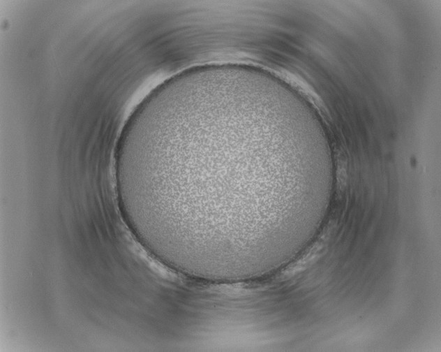 X0000070430990200606302122