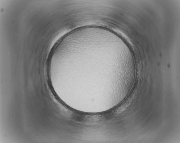 X0000070430991200606302122