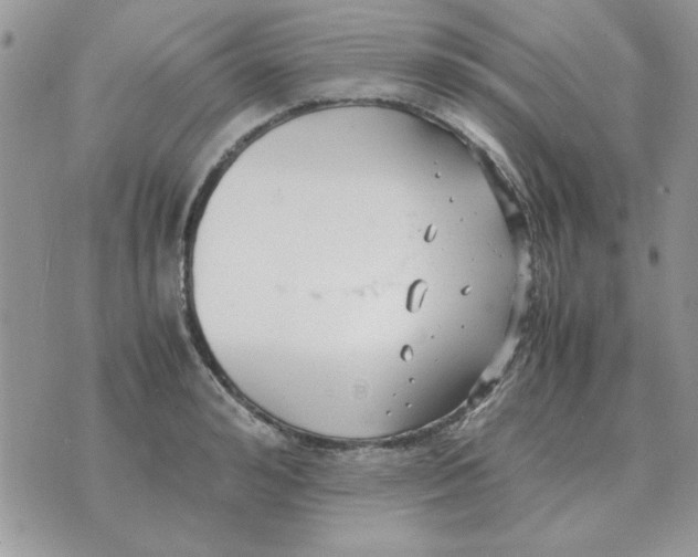 X0000070430992200606302122