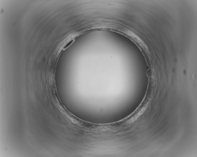 X0000070430993200606302122