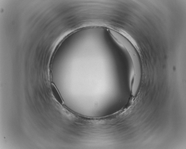 X0000070430996200606302122