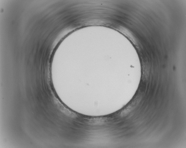 X0000070431000200606302121