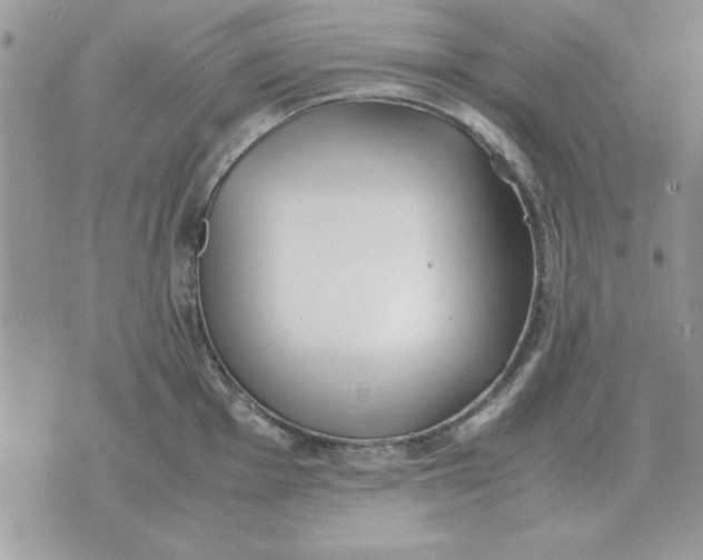 X0000070431001200606302121