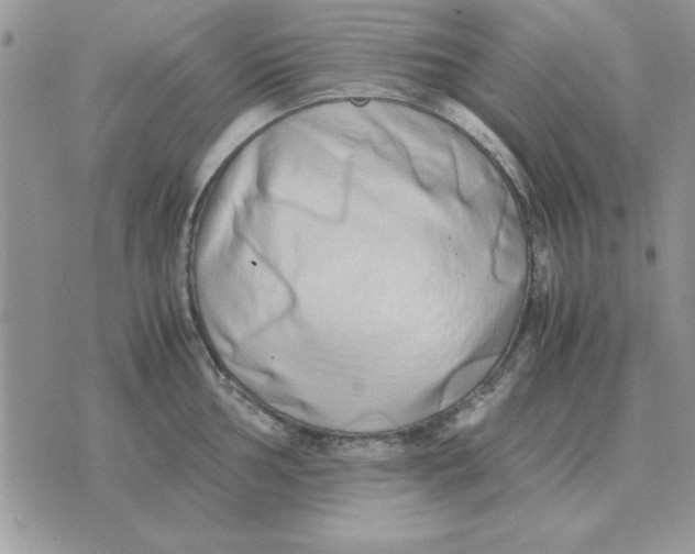 X0000070431002200606302121