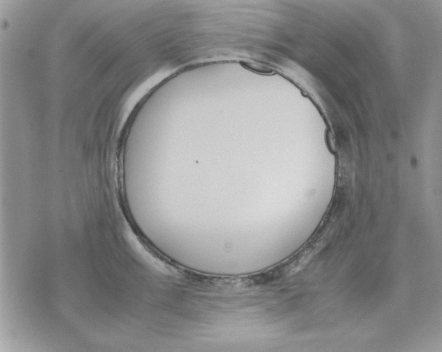 X0000070431003200606302121