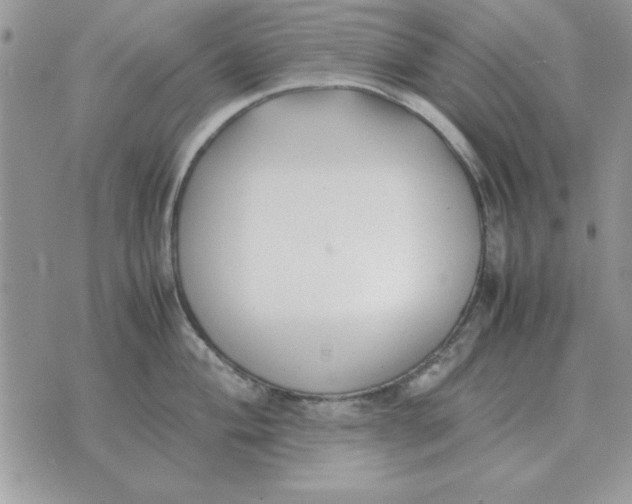 X0000070431004200606302121