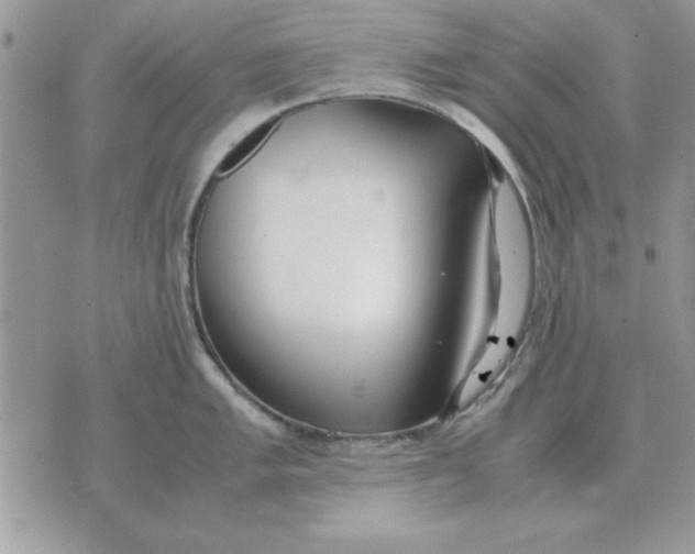 X0000070431005200606302121