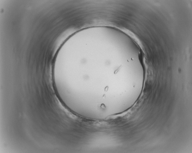 X0000070431006200606302121