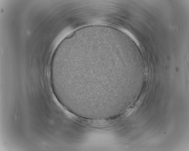 X0000070431007200606302121