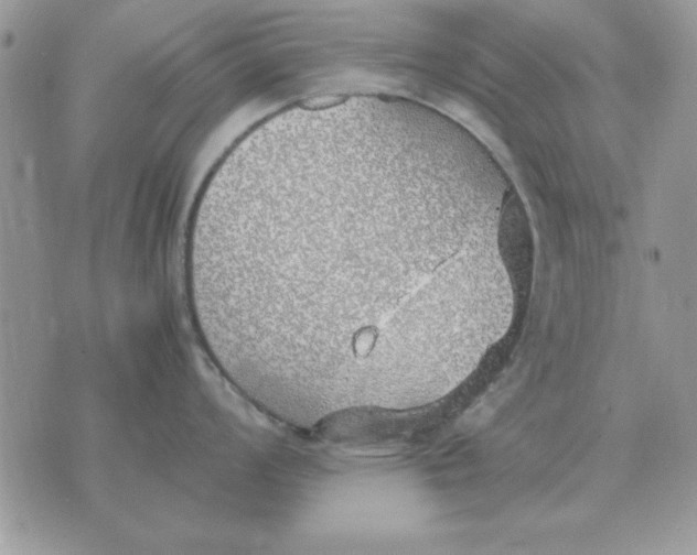 X0000070431008200606302121