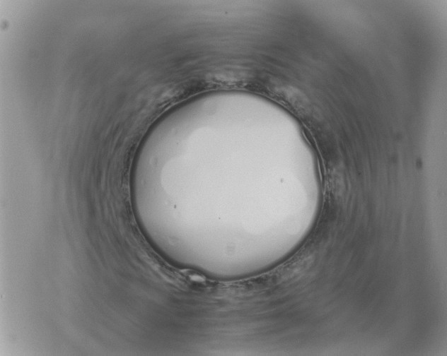 X0000070431009200606302121