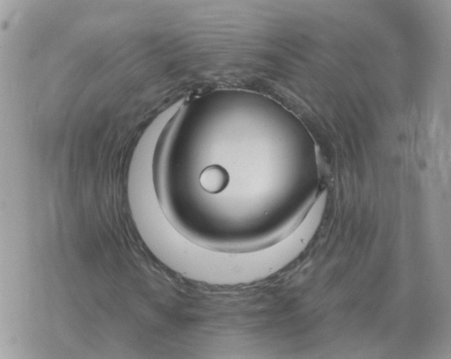 X0000070431010200606302121