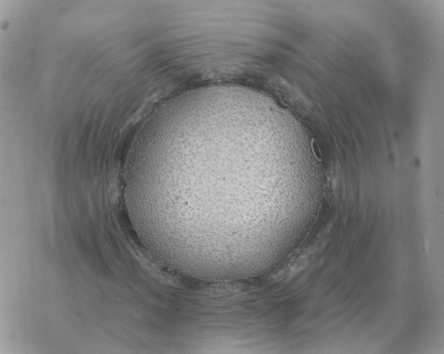 X0000070431012200606302121