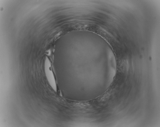 X0000070431013200606302121