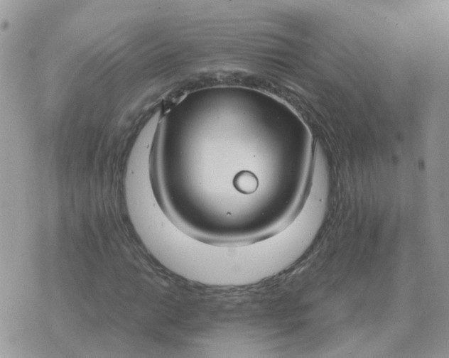 X0000070431014200606302121