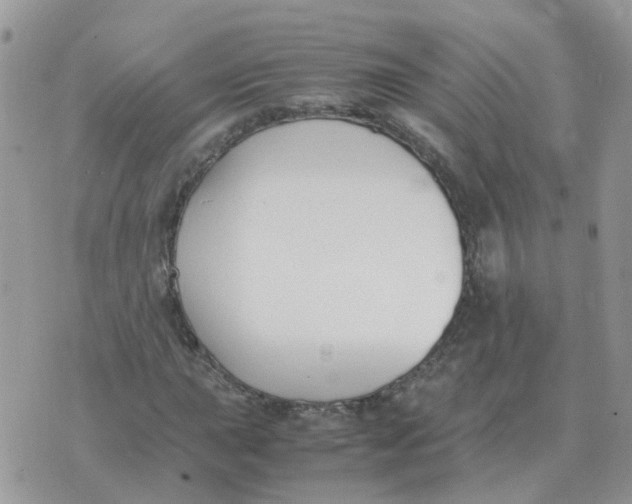 X0000070431015200606302121