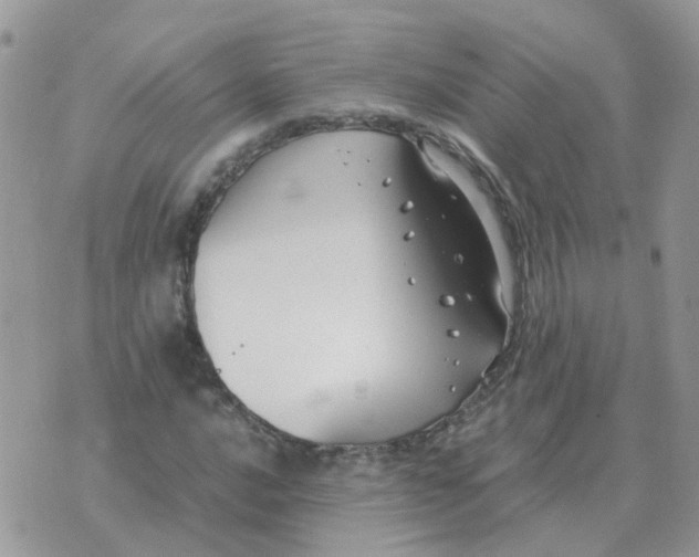 X0000070431016200606302121