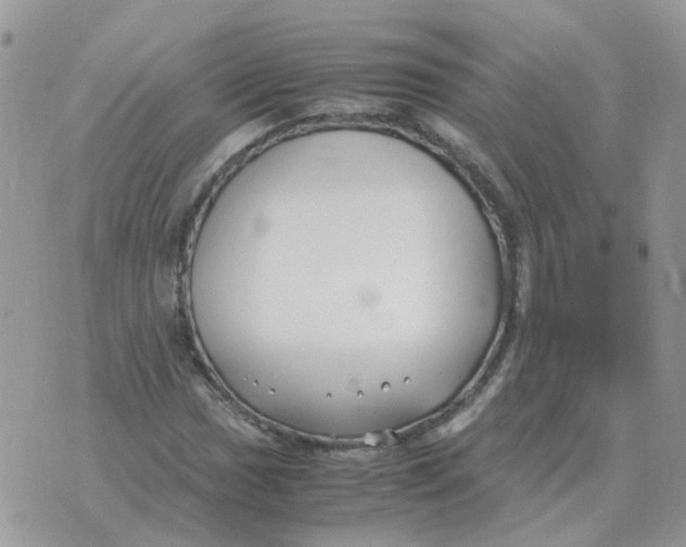 X0000070431017200606302121