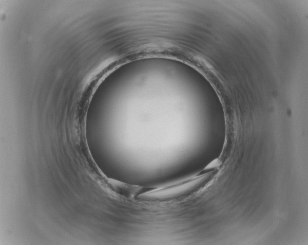 X0000070431018200606302121