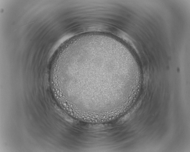 X0000070431019200606302121