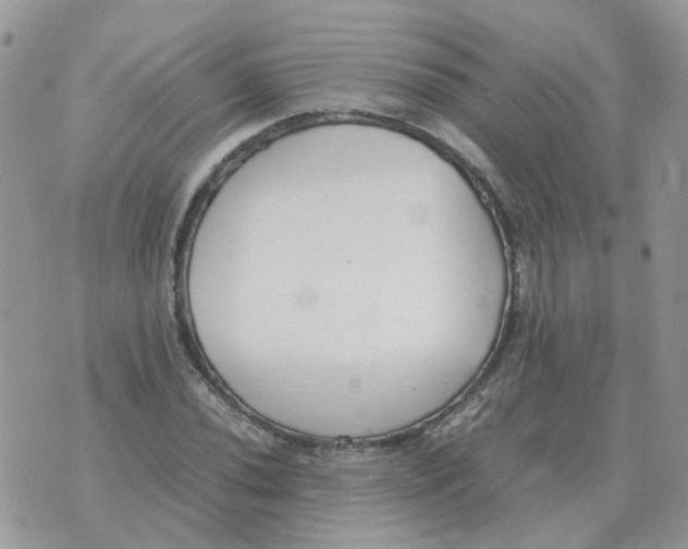 X0000070431020200606302121