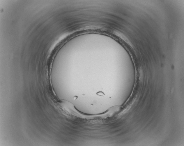 X0000070431021200606302121