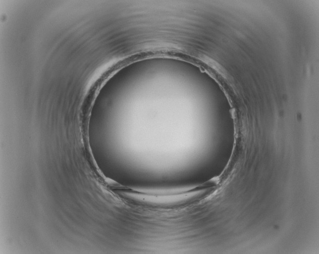 X0000070431022200606302121