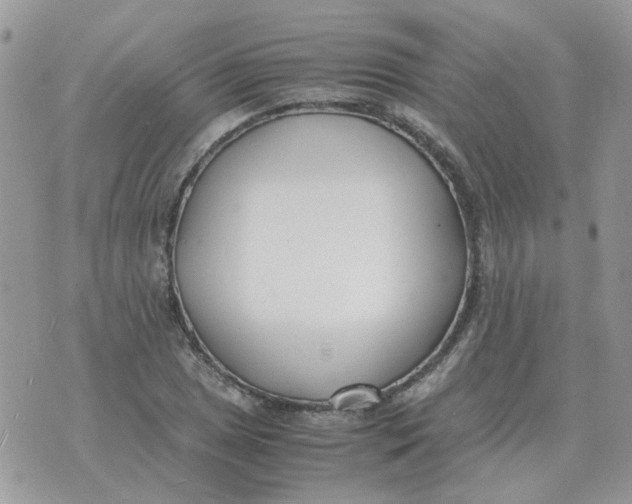 X0000070431025200606302121